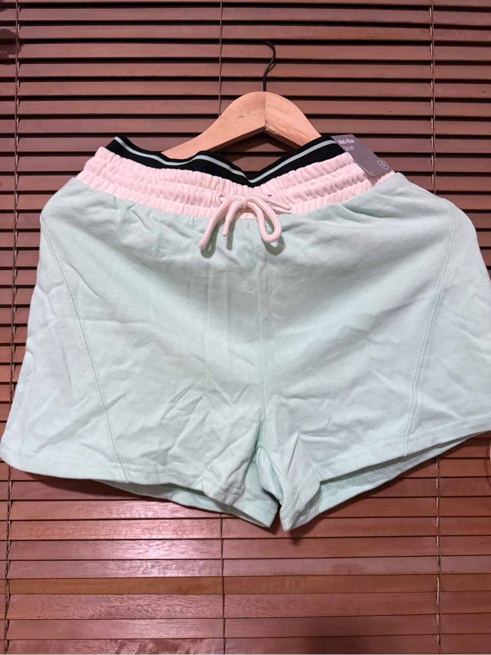 Forever 21 Mint Shorts with Pink Elastic Waistband